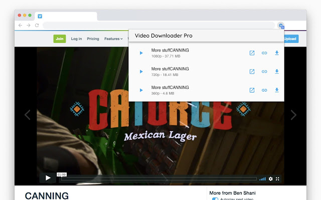 Video Downloader Pro Crx4chrome插件下载