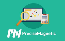PreciseMagnetic for FB Audience Insights