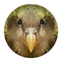 Kakapo for Chrome