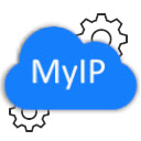 MyIP - Host IP, ISP and DNS